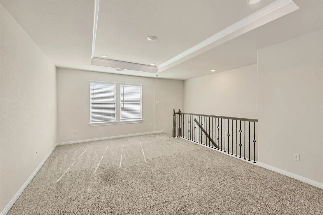 Photo of 90 Snowy Plover LN