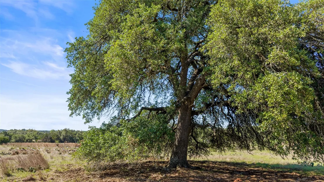 Photo of 6590 US 290