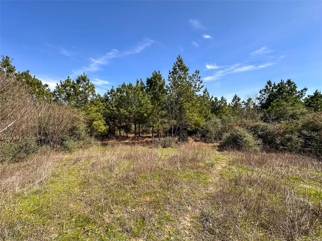 Photo of 161 Alele DR