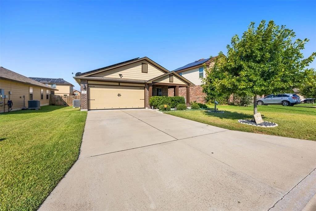Photo of 320 Ammonite LN