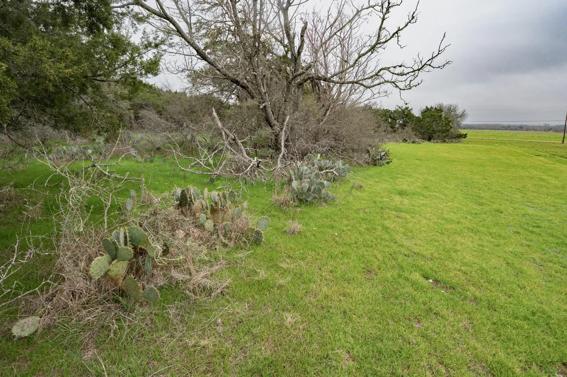 Photo of 101 Blanco River Ranch