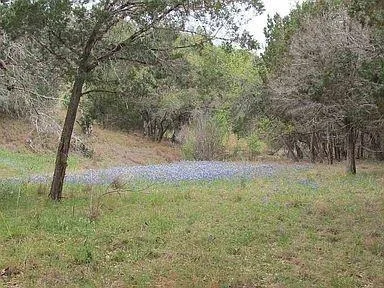 Photo of 350 Bluff RD