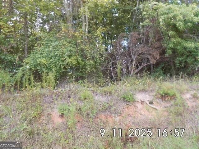 Photo of 8.5 +/- Smith Loop
