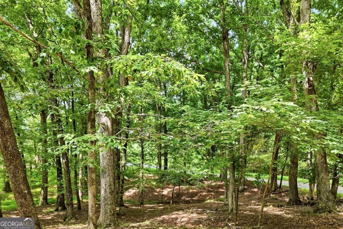 Photo of 35 Quail Walk