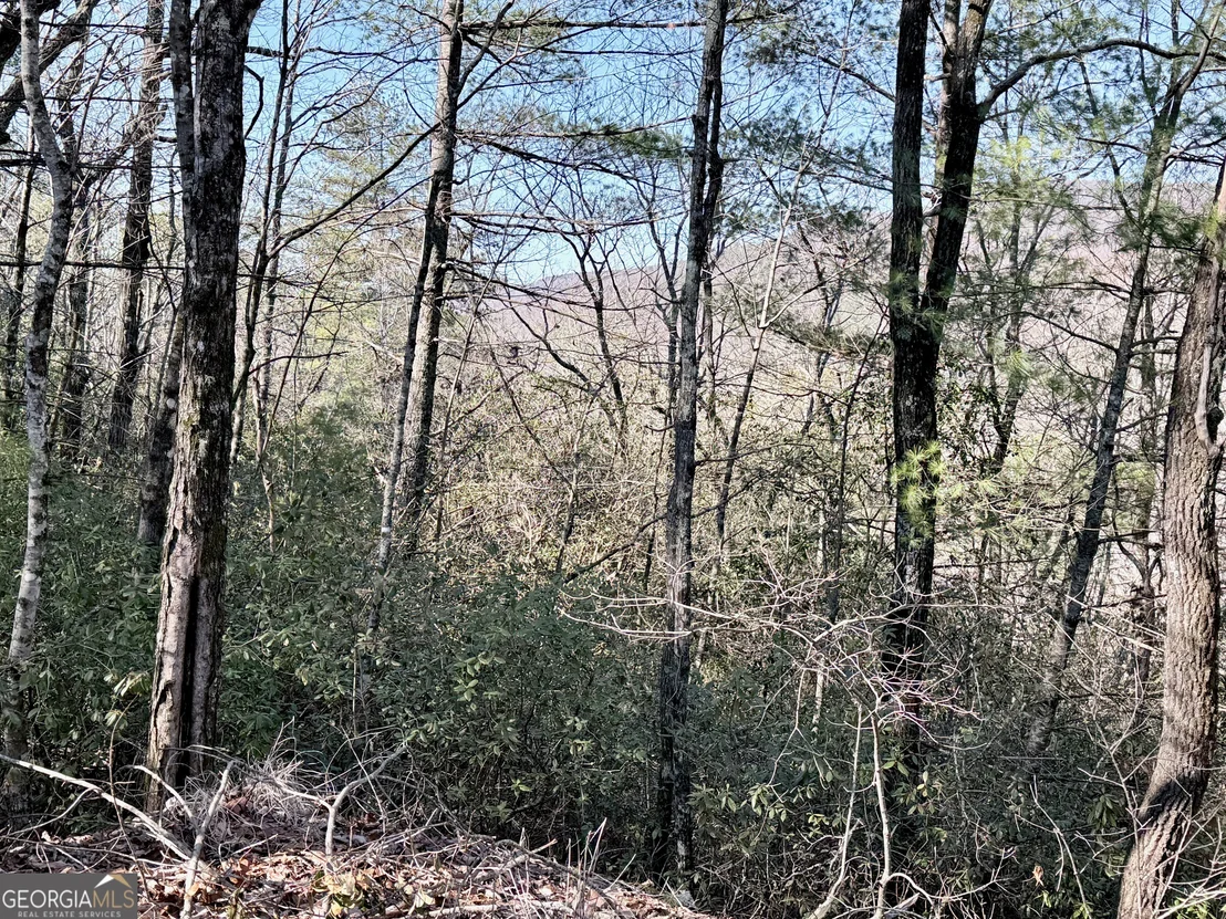 Photo of 0 Rabun Bluffs Drive