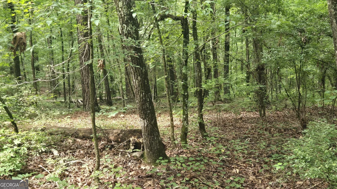 Photo of 3065 Smokey Road