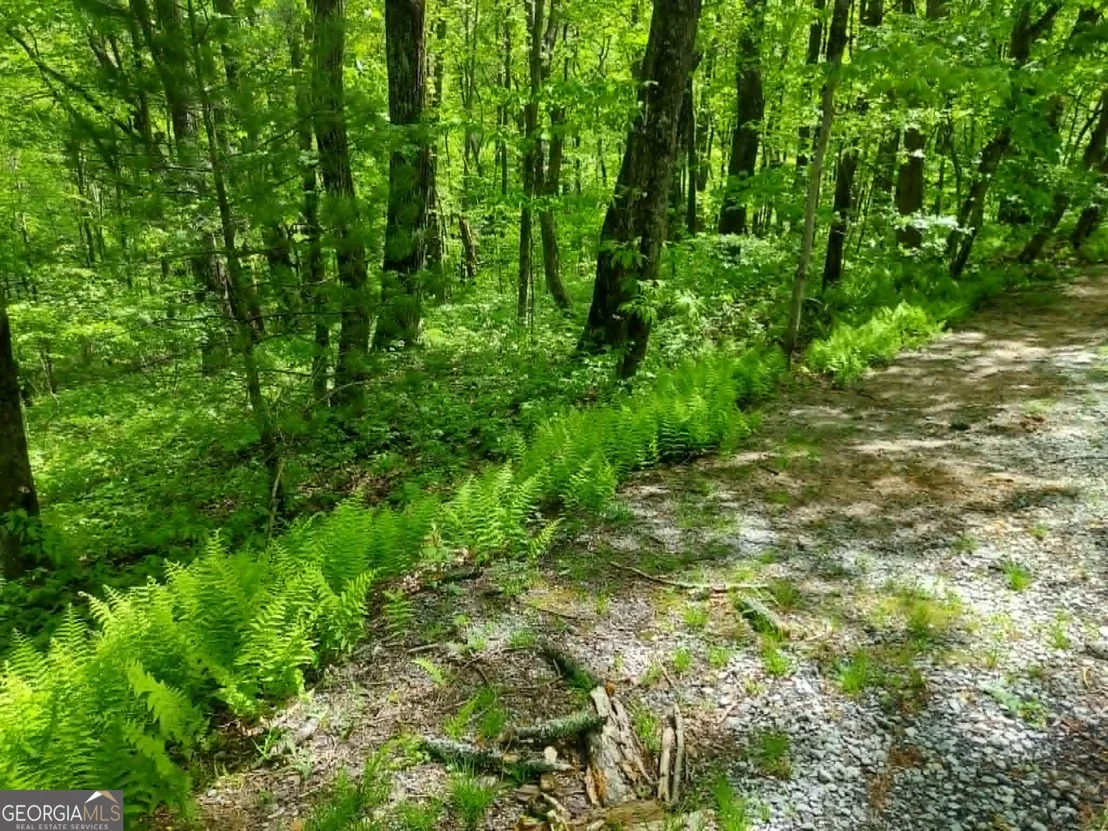 Photo of 0 LOT 5 Rebel Circle