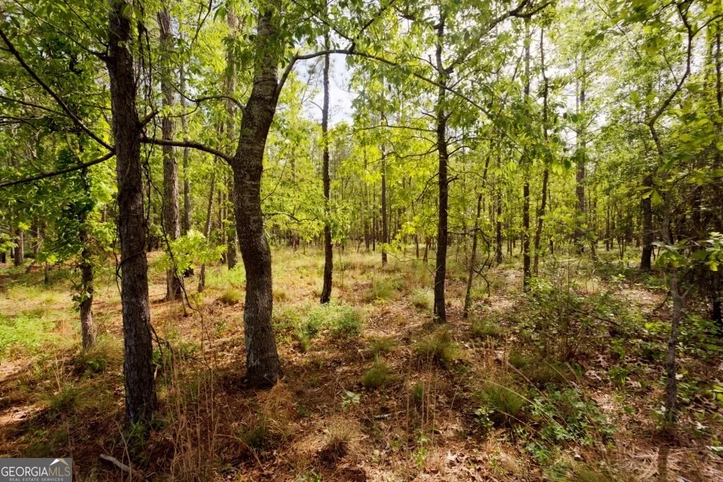 Photo of 5391 Big Pine Road