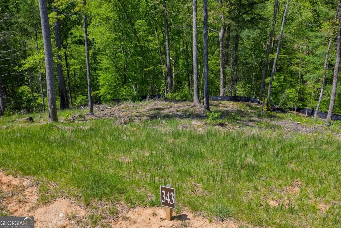 Photo of LOT 343 Shallow Branch Drive