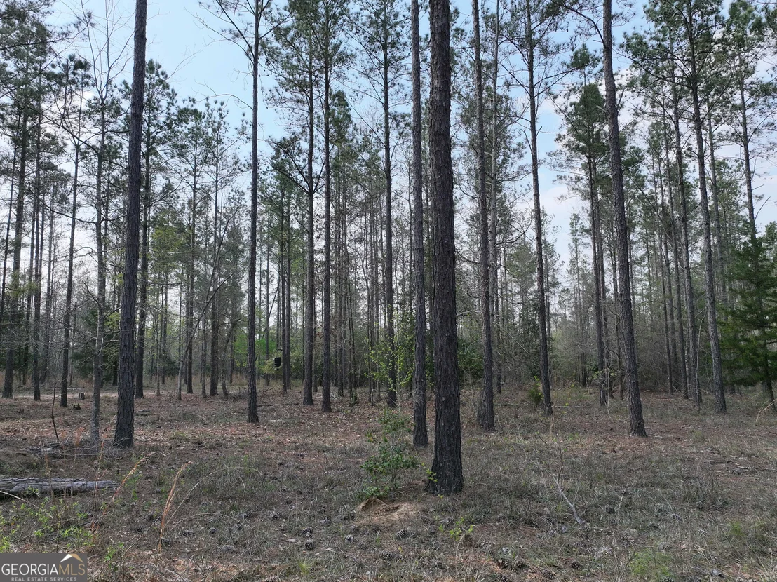 Photo of 195 County Line Road