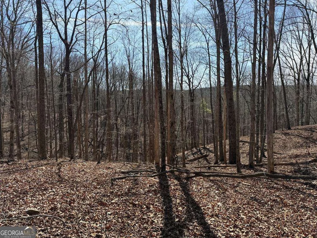 Photo of 131 Nicholson Lane