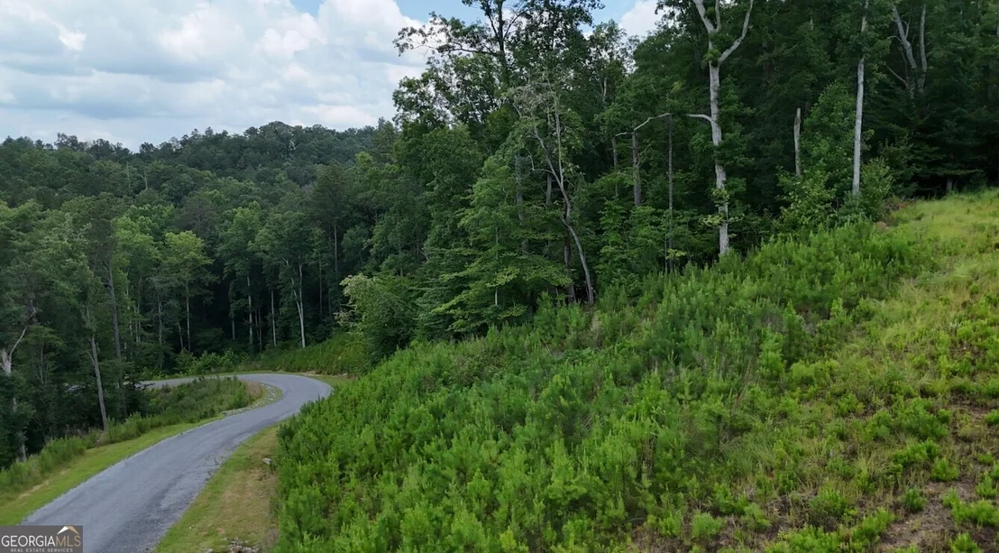 Photo of Unit LOT264 at 0 River View Trail