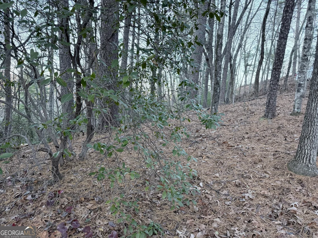 Photo of 0 Timber Bluff Drive