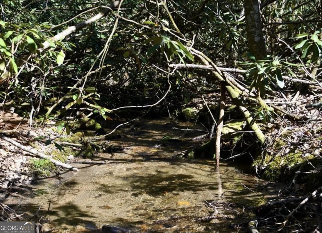Photo of 0 Highland Gap Road