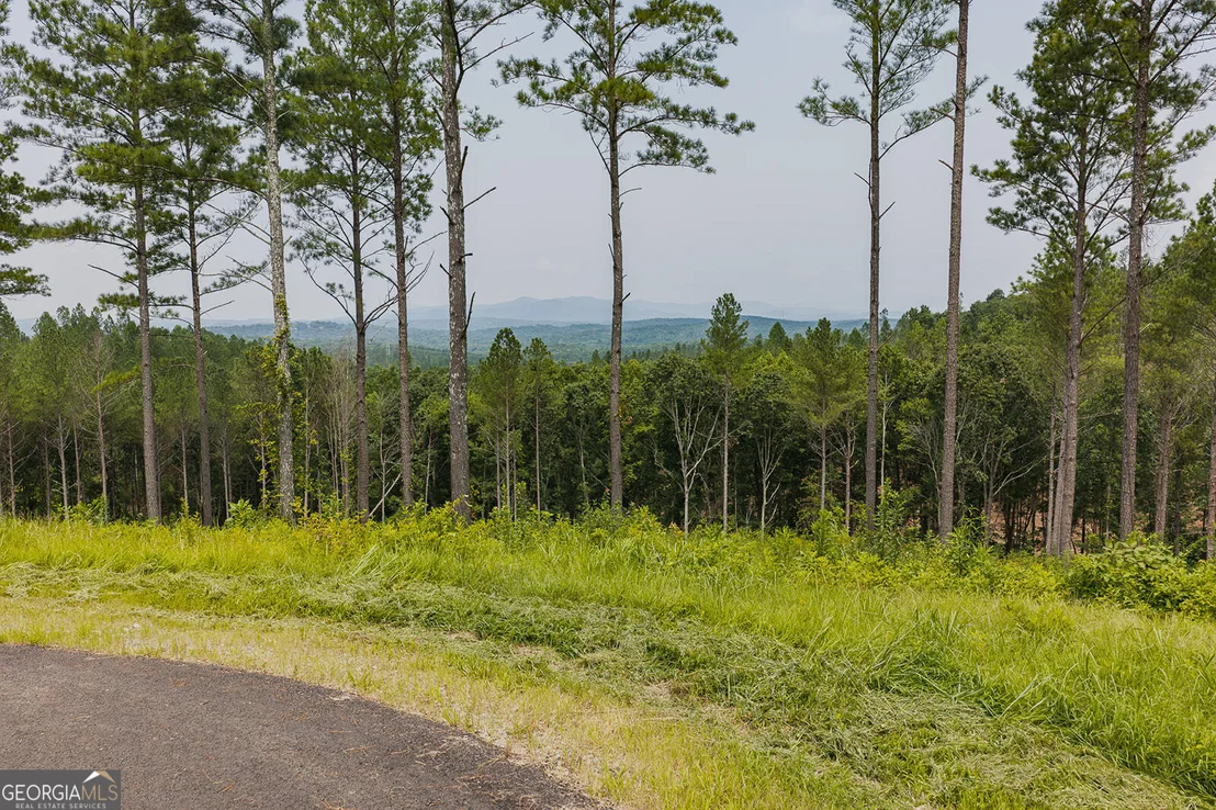 Photo of LOT 63 Lacey Springs Lane