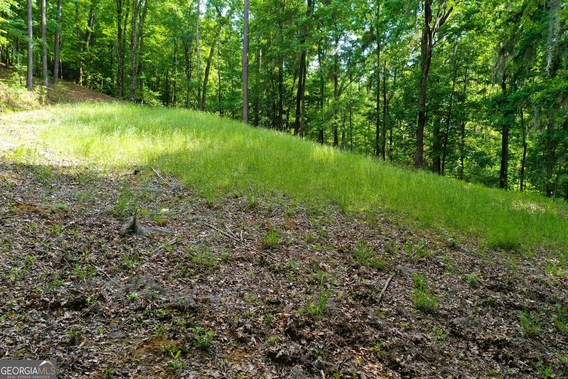 Photo of 0 Watson Spur Road