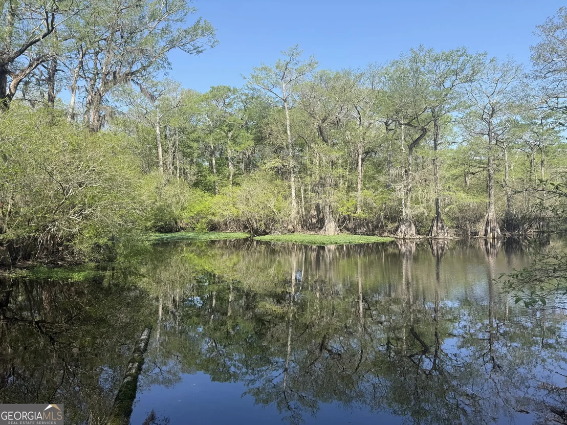 Photo of 315 High Bluff Road