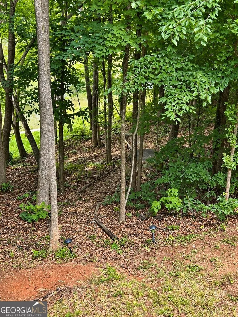 Photo of 1 Pine Needle Trail