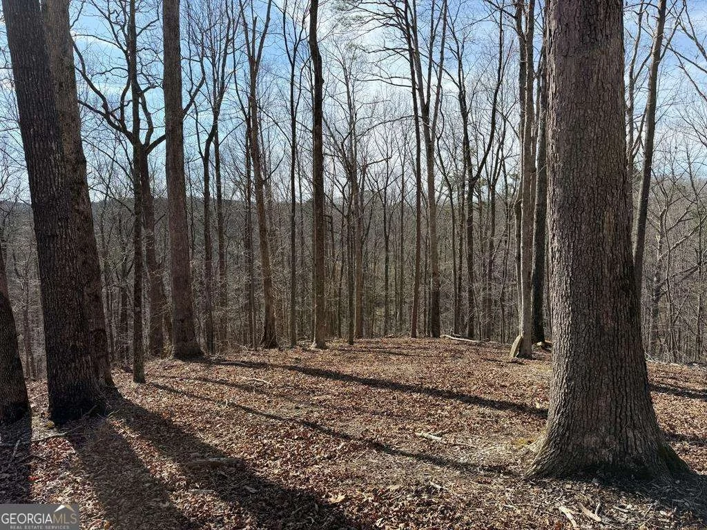Photo of 131 Nicholson Lane