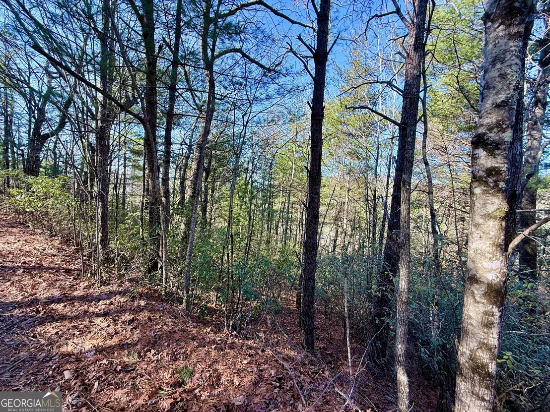 Photo of 0 Rabun Bluffs Drive