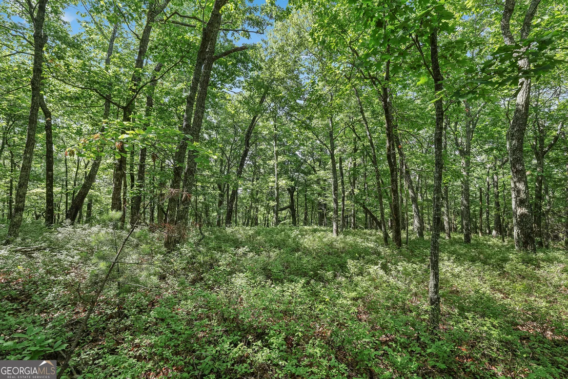 Photo of LOT 58 Mountain Sweet Drive