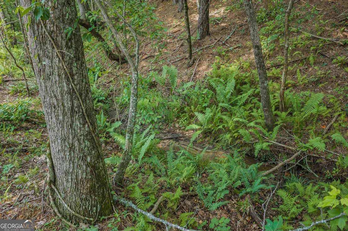 Photo of LOT 63 Lacey Springs Lane