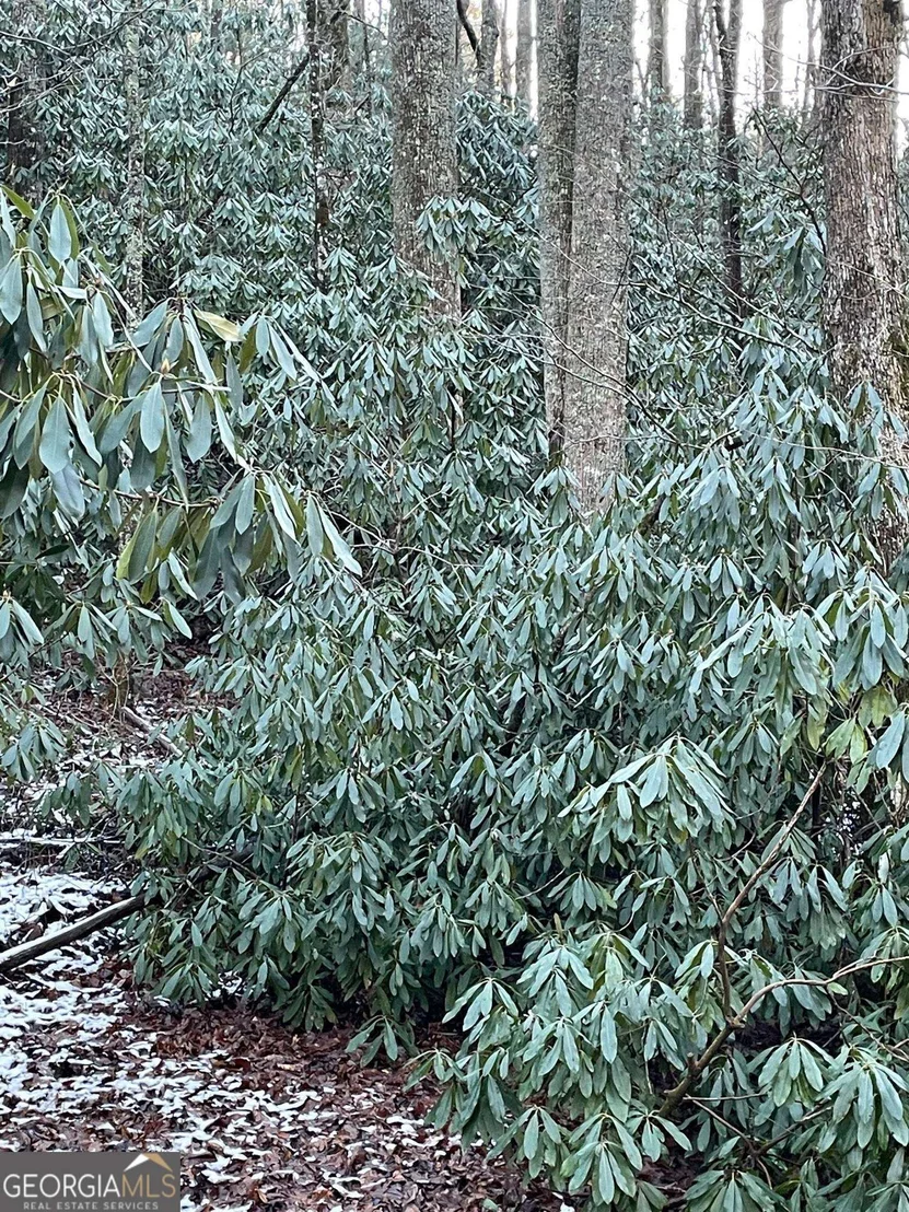 Photo of Unit LOT8 at 0 LOT 8 Bald Mountain Road