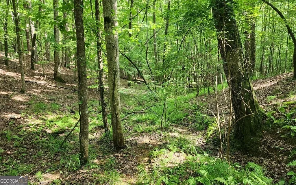 Photo of LOT 838 Oneida Circle