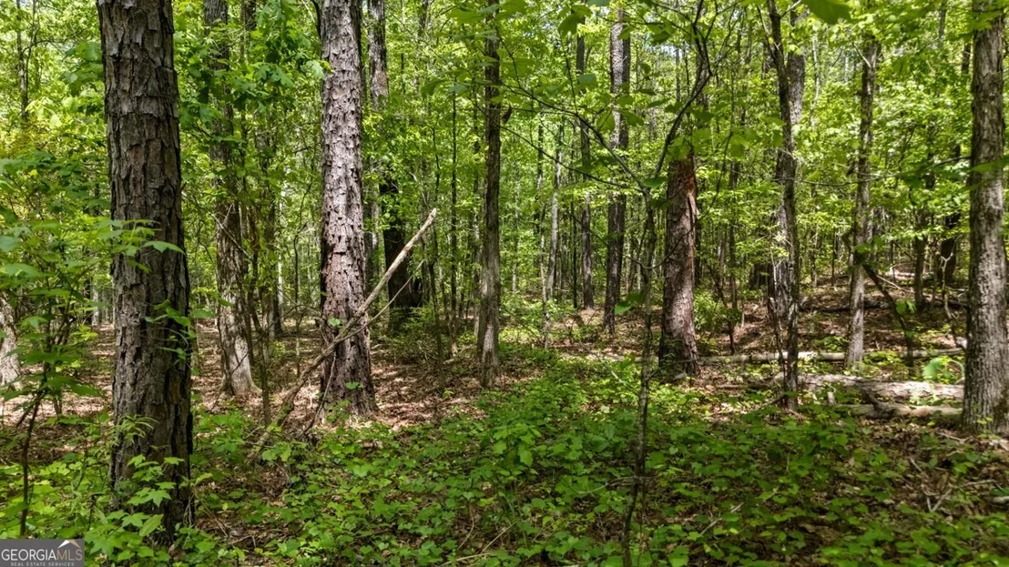 Photo of 0 Liberty Hill Road