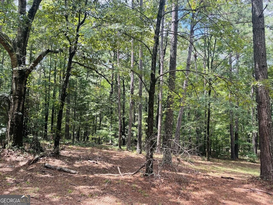 Photo of 3889 Greenville Road