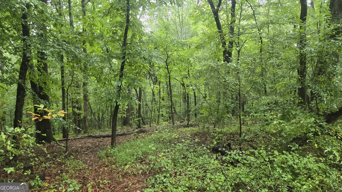 Photo of 3065 Smokey Road