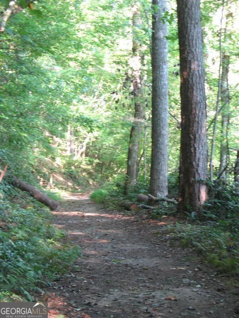 Photo of 6X Laurelwood
