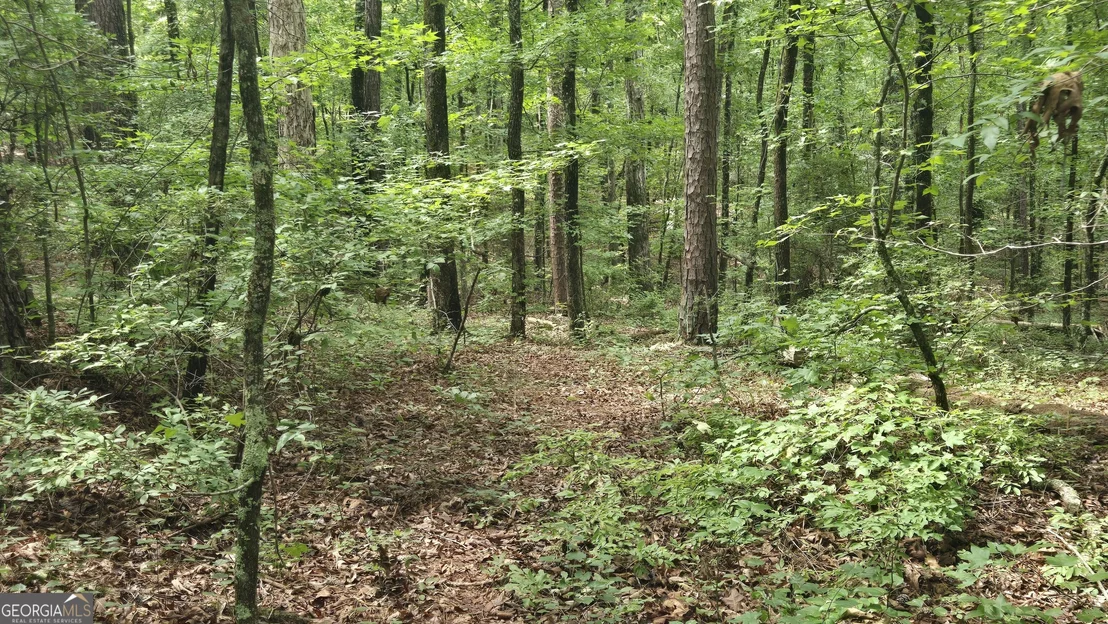Photo of 3065 Smokey Road