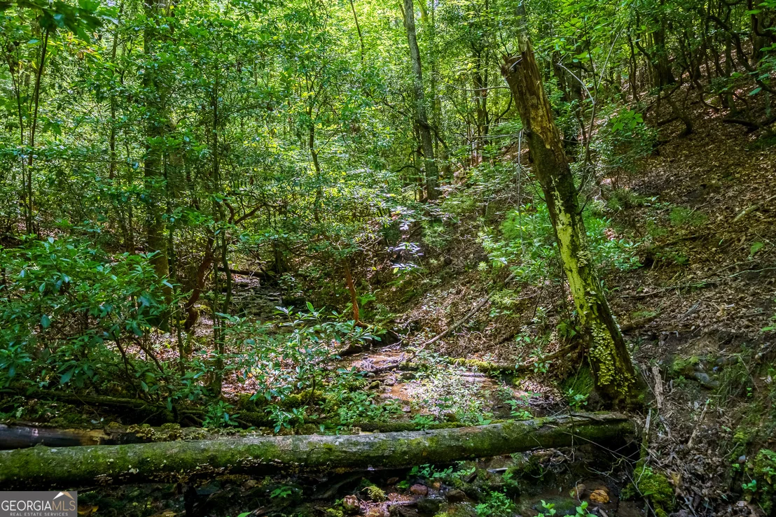 Photo of 0 White Pine Road