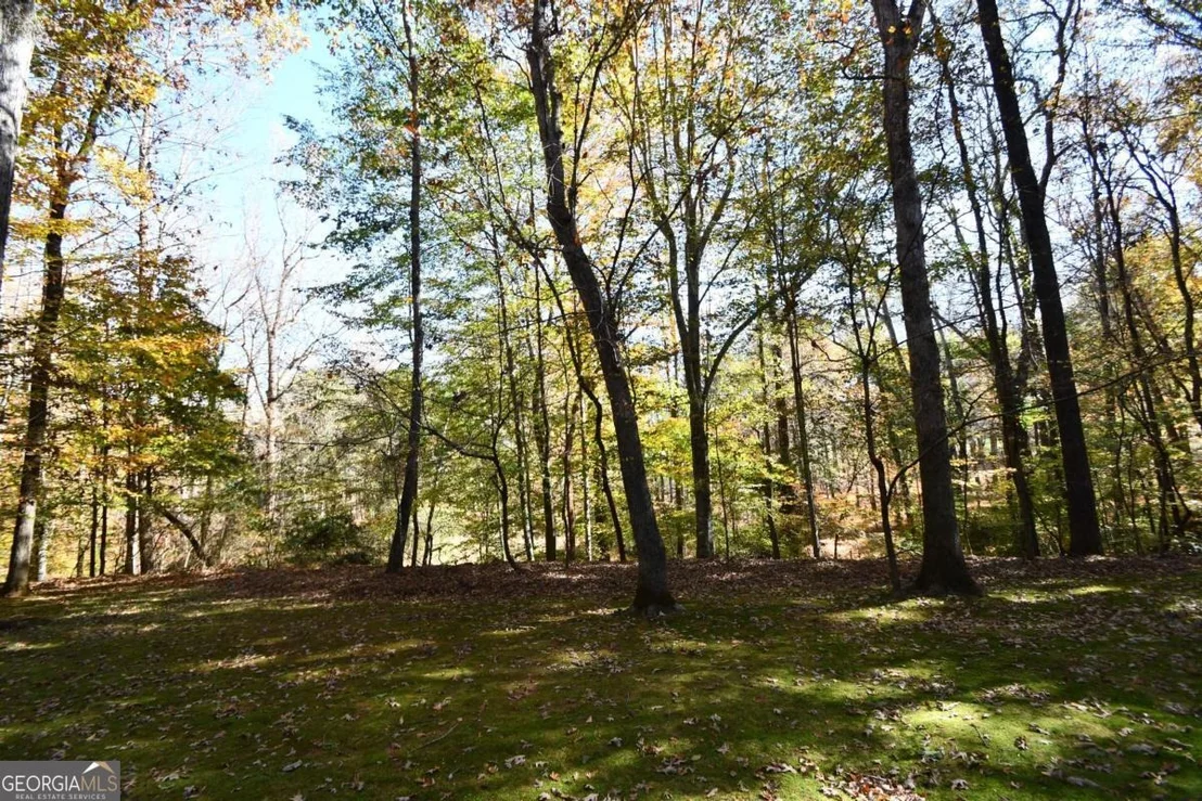 Photo of 218 Thornhill Drive
