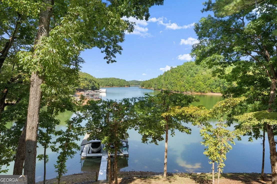 Photo of 91 Chestatee View Place