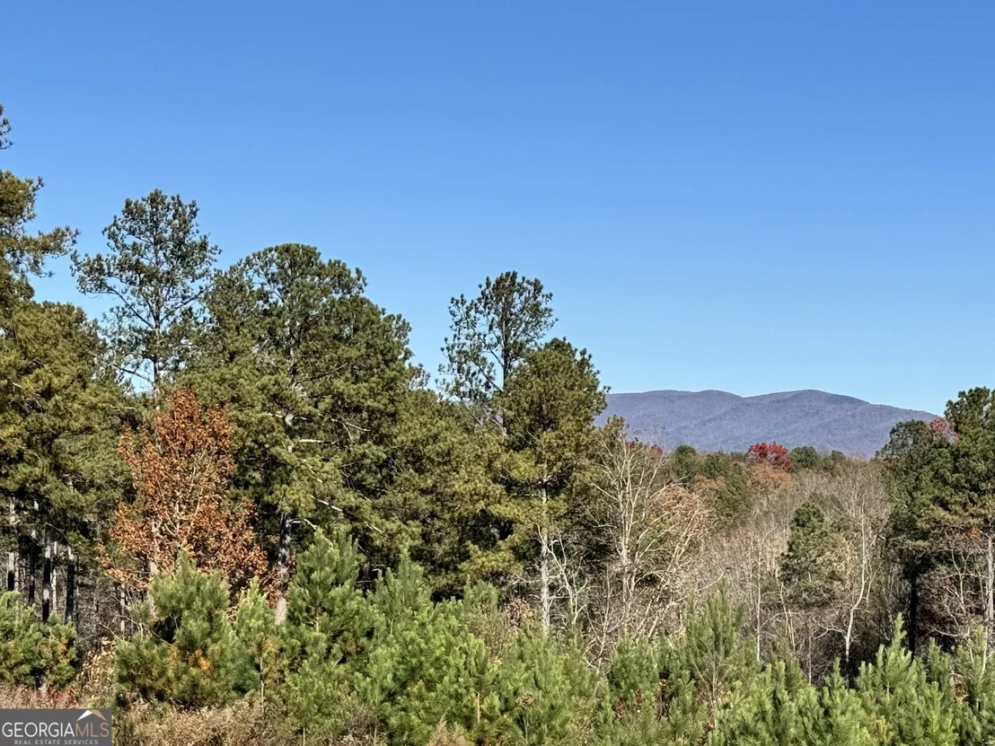 Photo of 61 Station Gap