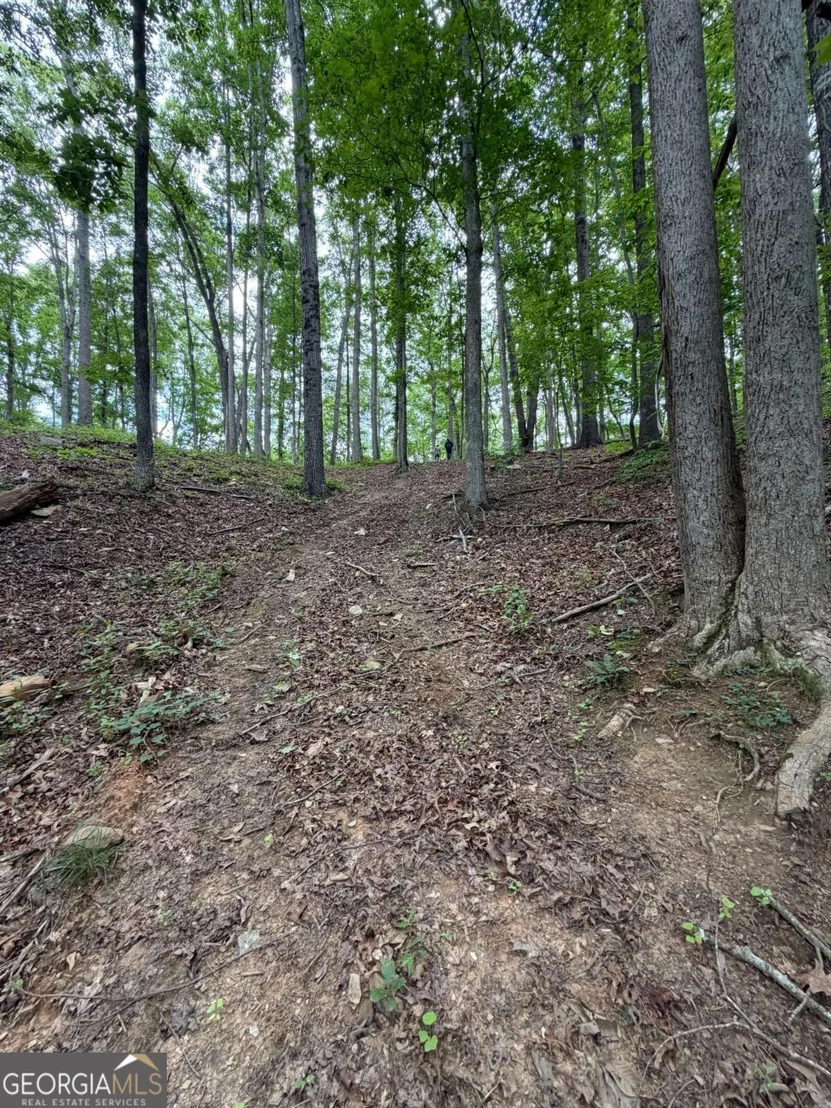 Photo of 131 Nicholson Lane