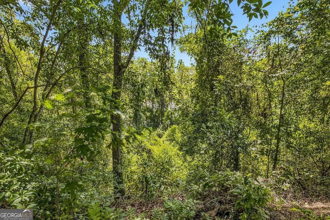 Photo of 714 Altamaha Road