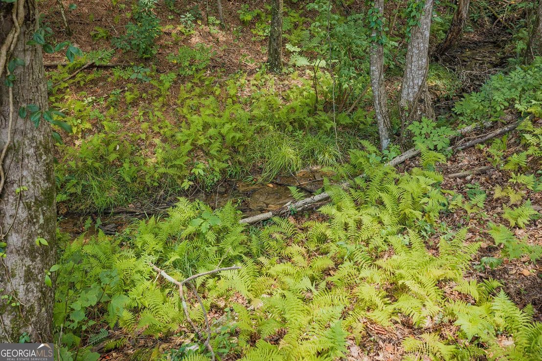 Photo of LOT 63 Lacey Springs Lane