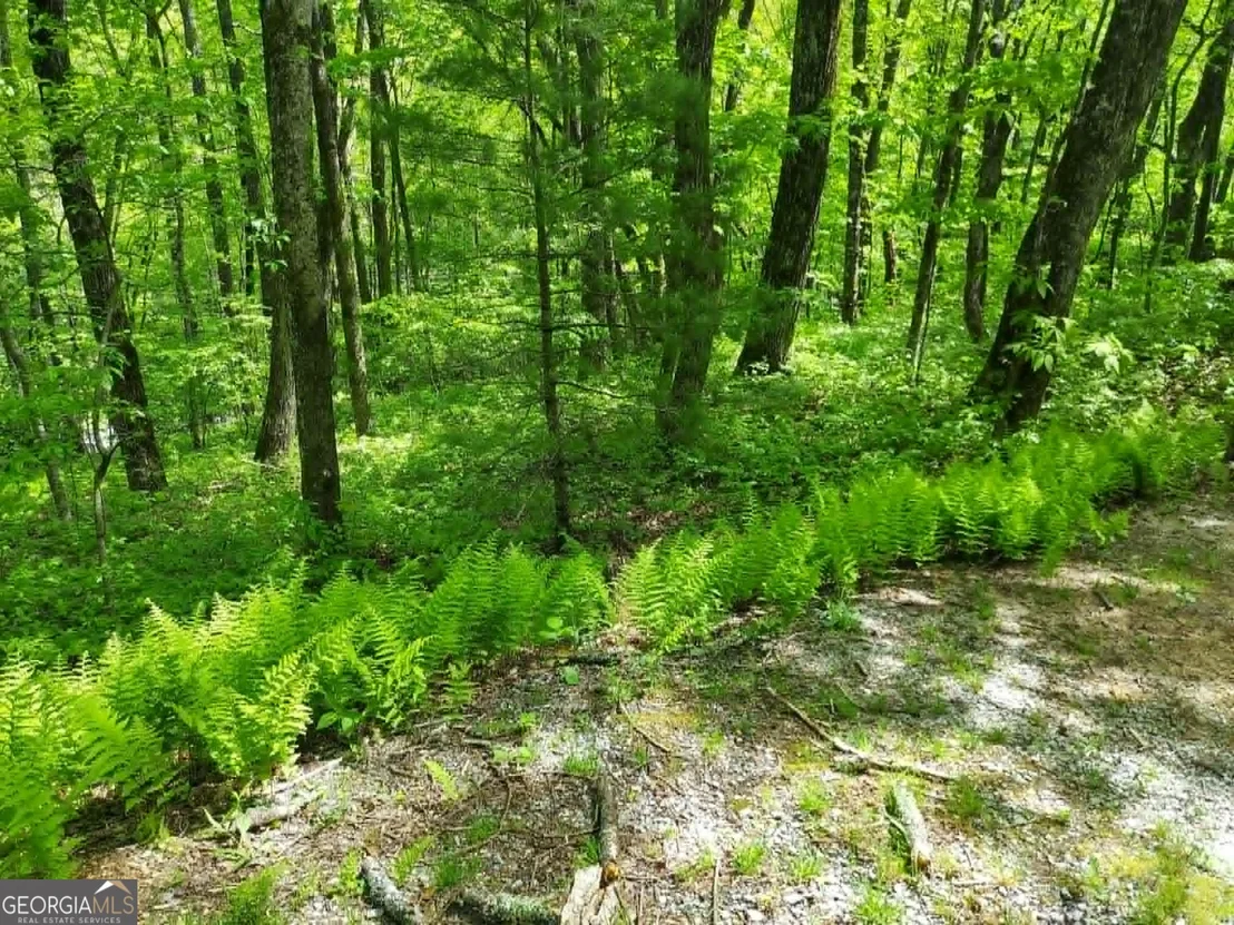 Photo of 0 LOT 5 Rebel Circle