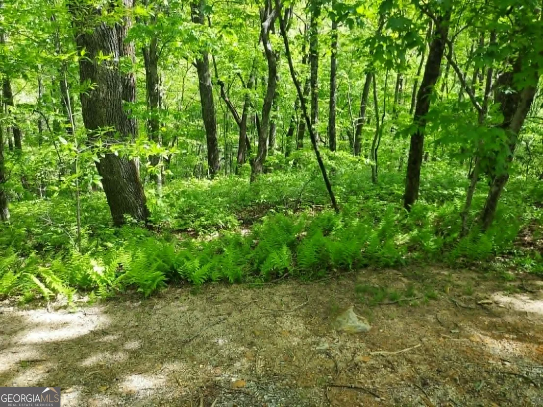 Photo of 0 LOT 5 Rebel Circle