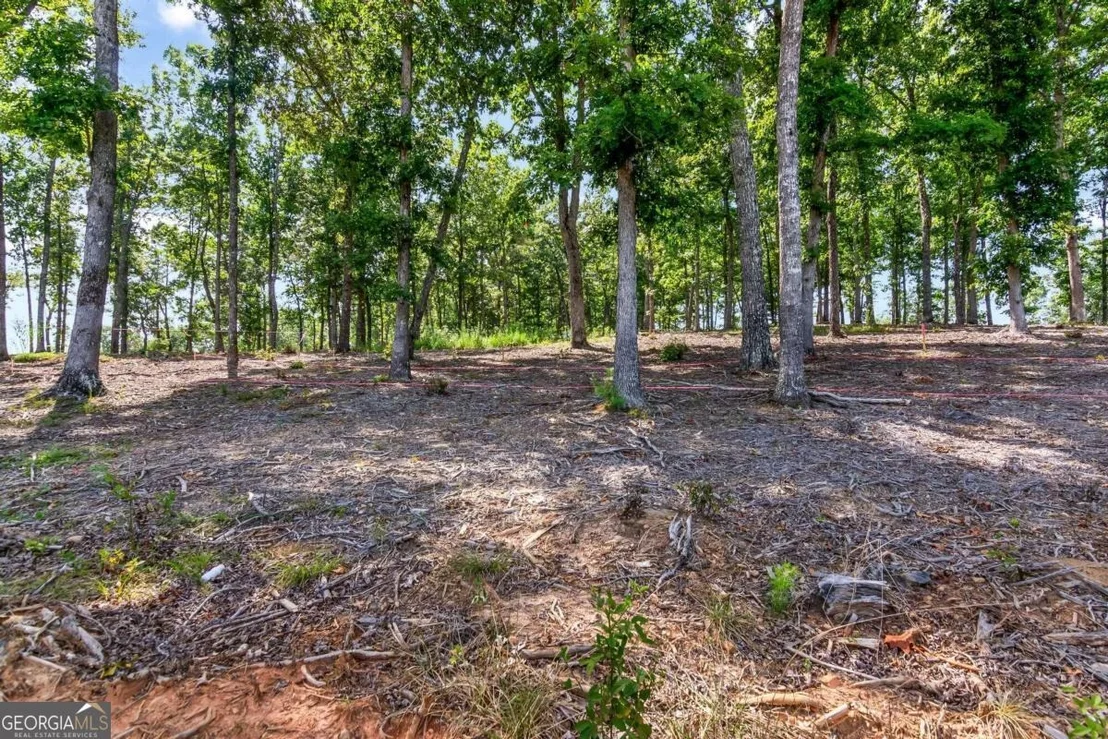 Photo of LOT 84 Ridge Drive