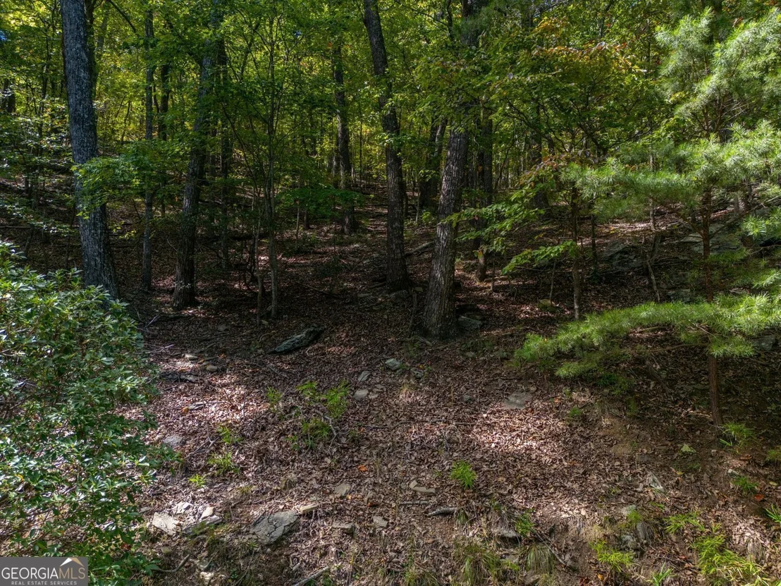 Photo of 0 Little Hendricks Mountain Road