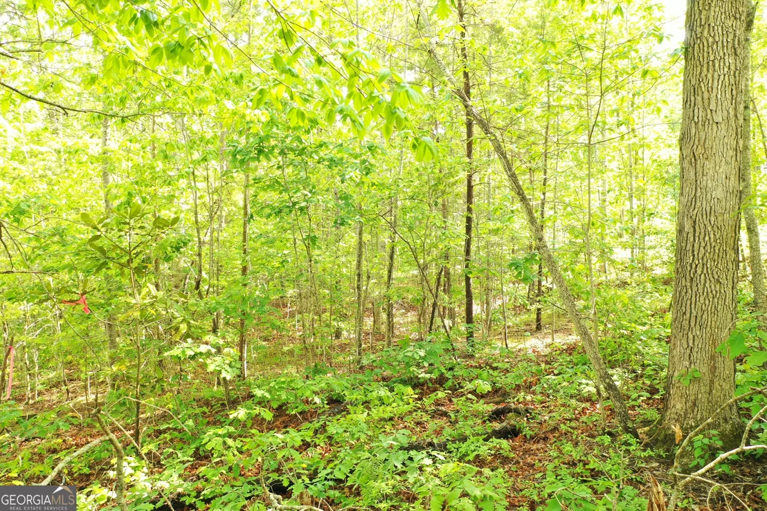 Photo of 20 Eden Woods