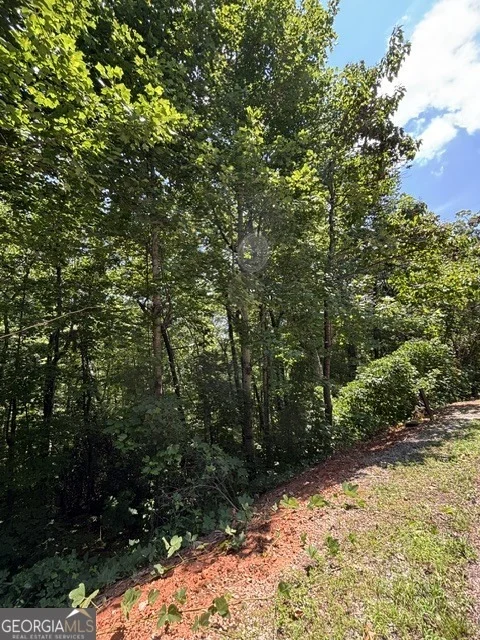 Photo of LOT #5 King Mountain Drive