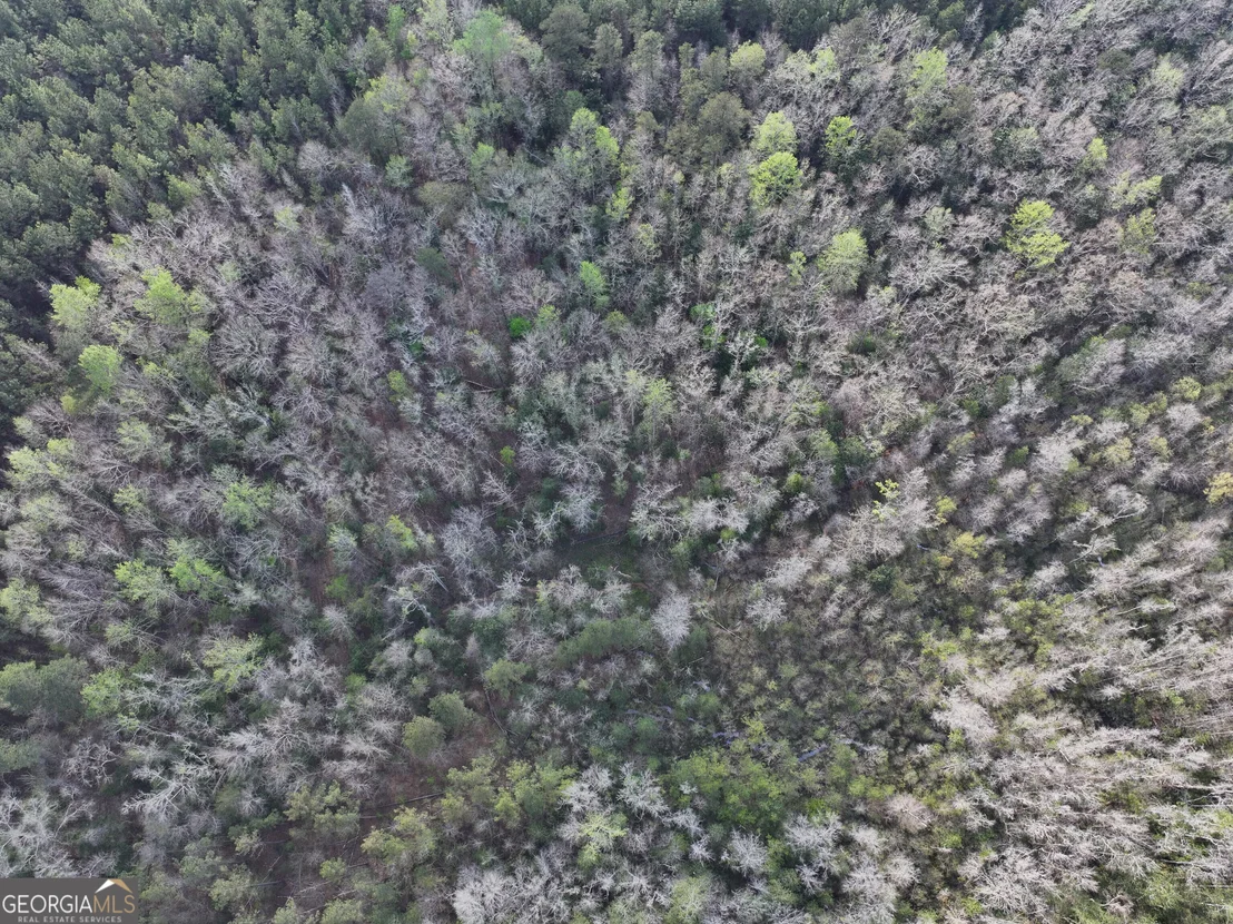 Photo of 195 County Line Road