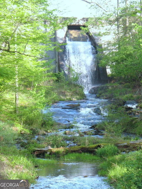 Photo of 6X Laurelwood
