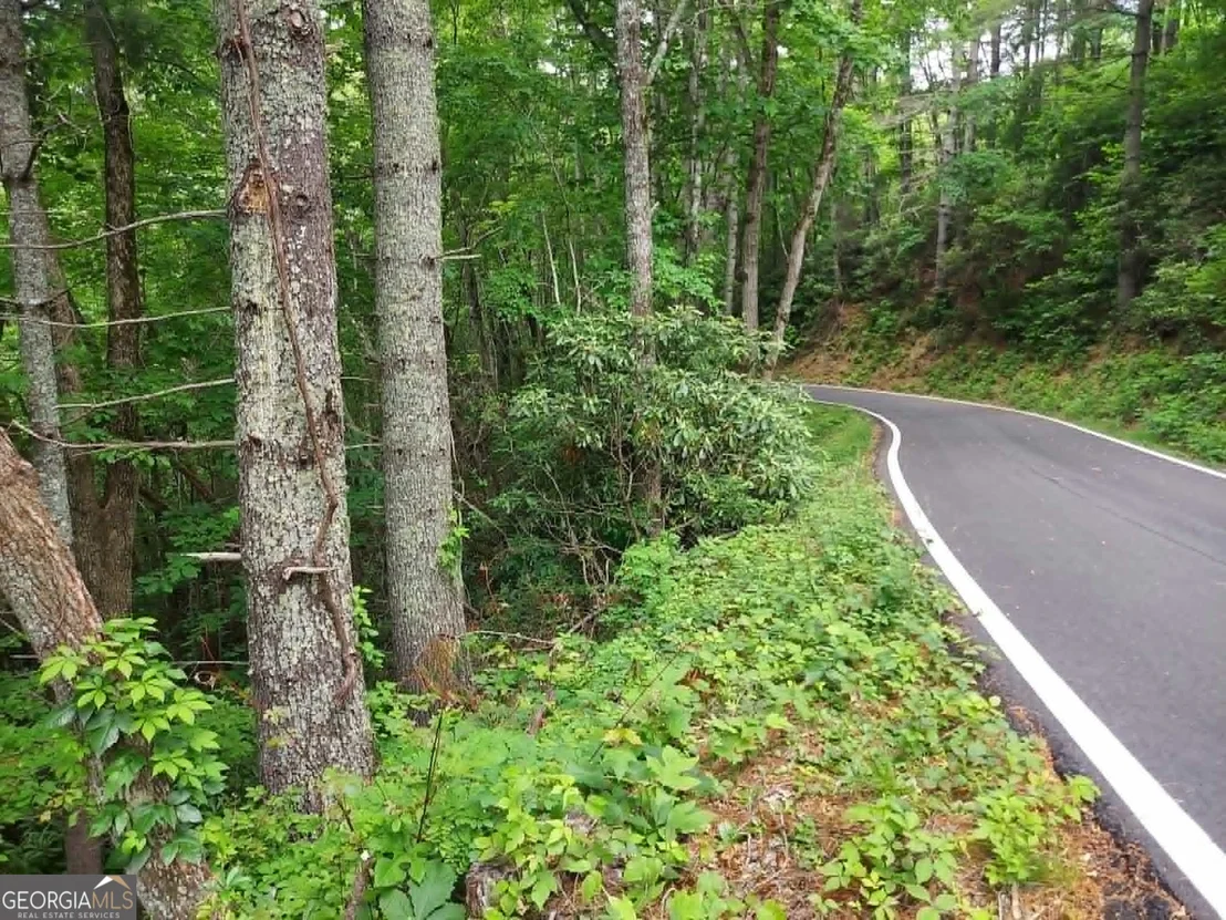 Photo of 0 LOT 37 Saddleback Circle