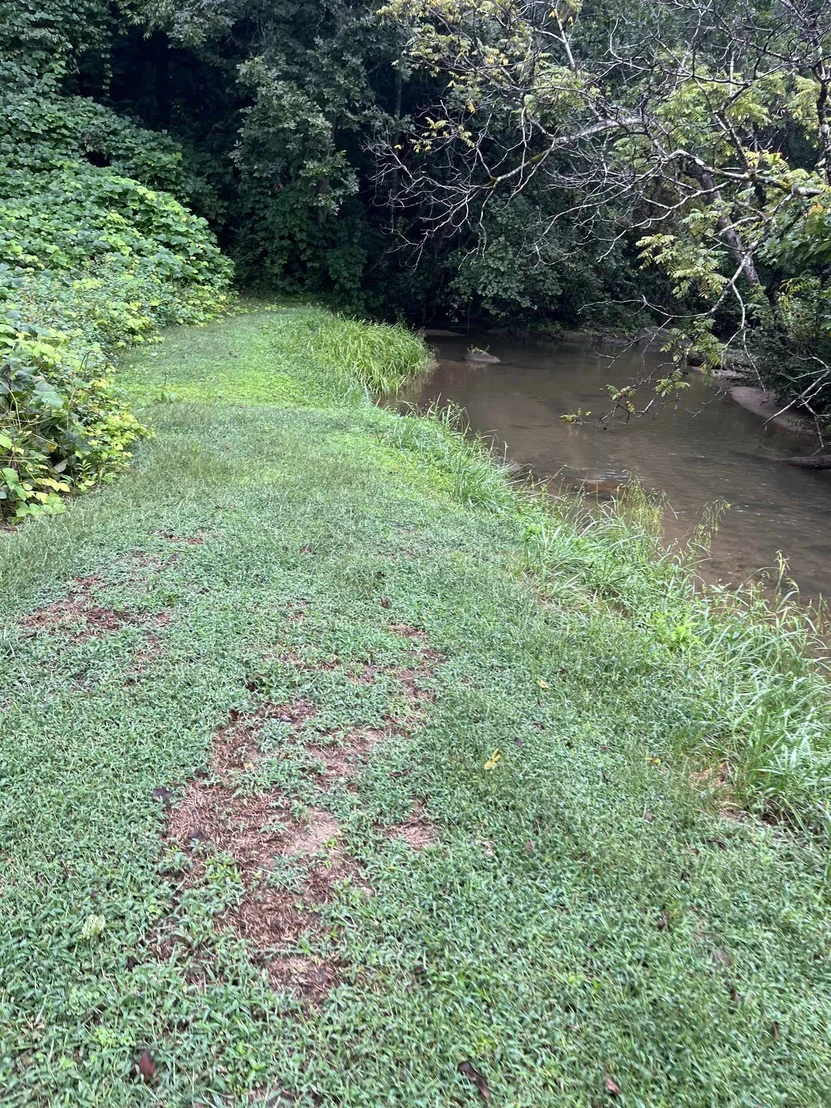 Photo of 5 Bryson Branch Road